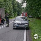 Fotka nr 5 z 18