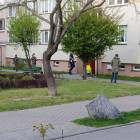 Fotka nr 5 z 8