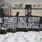 Fotka nr 5 z 30