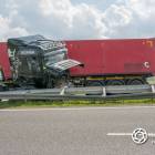 Fotka nr 2 z 12