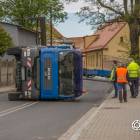 Fotka nr 4 z 12