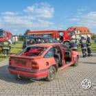 Fotka nr 4 z 31