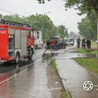 Fotka nr 1 z 9
