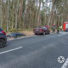 Fotka nr 2 z 10