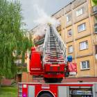 zdjęcie nr 21