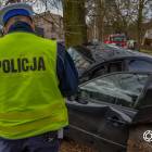 Fotka nr 1 z 12