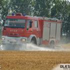 Fotka nr 2 z 6