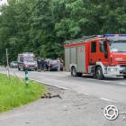 Fotka nr 2 z 18