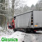 Fotka nr 3 z 24