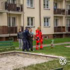 zdjęcie nr 8