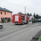 Fotka nr 2 z 12