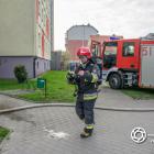 zdjęcie nr 12