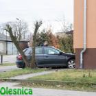 Fotka nr 0 z 8