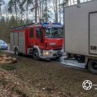 Fotka nr 5 z 17