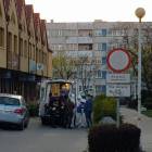 Fotka nr 2 z 8