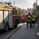 Fotka nr 2 z 20