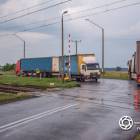 Fotka nr 5 z 13