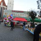 zdjęcie nr 31