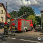 Fotka nr 2 z 5