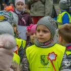zdjęcie nr 11