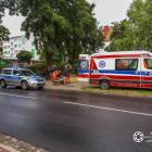 zdjęcie nr 7