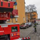 Fotka nr 5 z 8