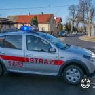 Fotka nr 4 z 17