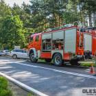 Fotka nr 2 z 13