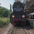 Fotka nr 2 z 29