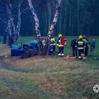 Fotka nr 1 z 11