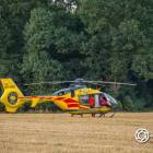 Fotka nr 1 z 8