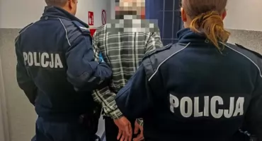 Areszt tymczasowy dla 69-letniego sprawcy usiłowania zabójstwa. Zaatakował swoją partnerkę - VIDEO