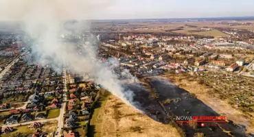 Ogromny pożar nieużytków w Oleśnicy. Płomienie zagroziły domom mieszkalnym - VIDEO DRON