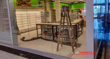 Żabka w Oleśnicy zmienia lokal i rośnie w siłę. Nowy sklep, już od jutra