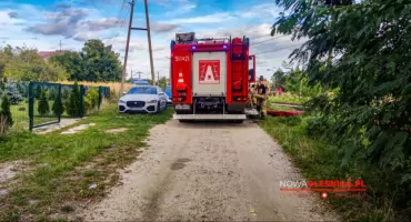 Tragedia na torach w Oleśnicy. Pociąg śmiertelnie potrącił kobietę i dziecko