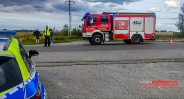 Groźny wypadek przy pracy na drodze do Jenkowic. Dwóch pracowników Tauronu porażonych prądem - FOTO